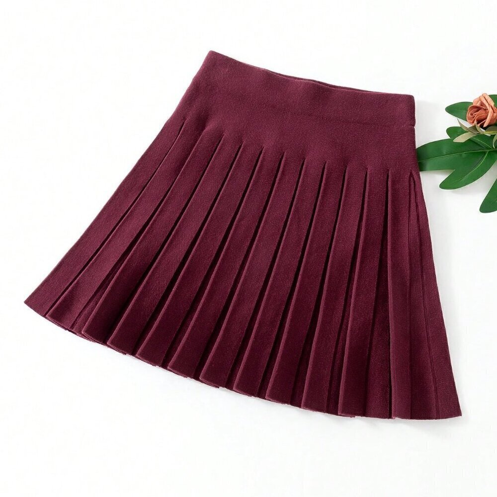 Burgundy Casual Women's Pleated Knit Sweater & Mini Skirt Set